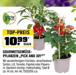 OBI Gourmetgemüse pflanzen pick and joy Angebot