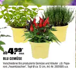 OBI Blu gemüse Angebot