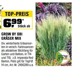 OBI Grow by obi gräser mix Angebot