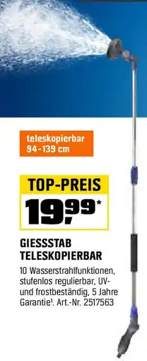 OBI Giessstab teleskopierbar Angebot