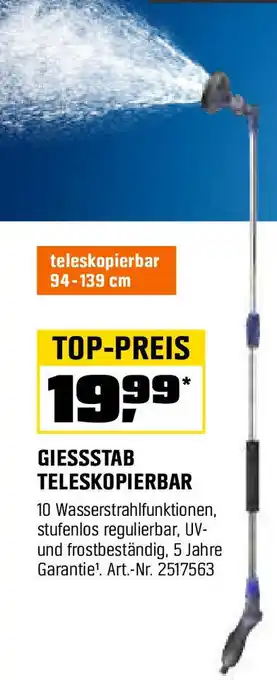 OBI Giessstab teleskopierbar Angebot