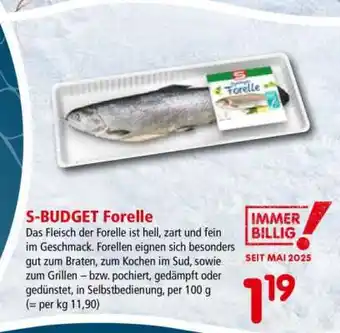 Interspar S-BUDGET Forelle Angebot