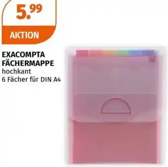 Müller Exacompta fächermappe Angebot
