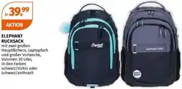 Müller Elephant rucksack Angebot