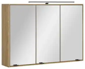 XXXLutz Linea Natura Spiegelschrank Angebot