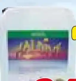 Zgonc Maldive Algenverhüter Angebot