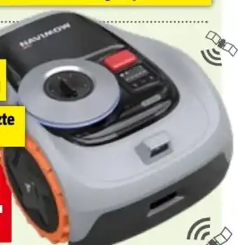 Bauhaus Segway Mähroboter Navimow I105E Angebot