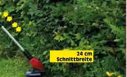 Zgonc Einhell Akku-Rasentrimmer GE-CT 18 Li Solo Angebot
