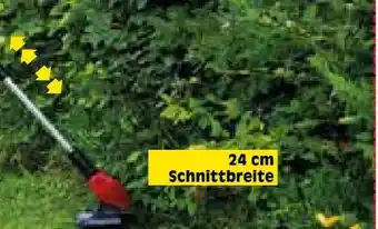 Zgonc Einhell Akku-Rasentrimmer GE-CT 18 Li Solo Angebot