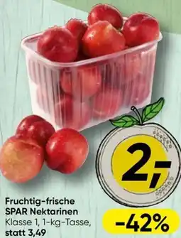 Spar SPAR Nektarinen Angebot