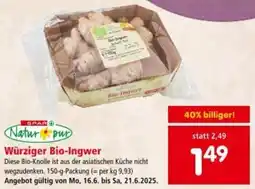 Interspar Würziger Bio-Ingwer Angebot