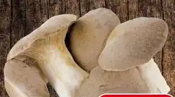 Eurospar Spar Natur pur Bio Krauterseitlinge Angebot
