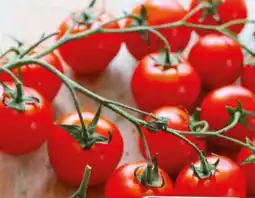 Eurospar Bio-Cherrytomaten Angebot