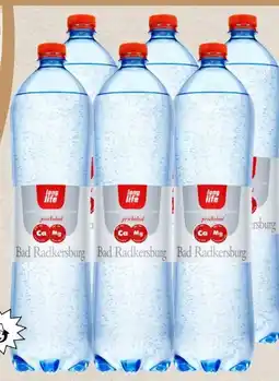Spar Radkersburger Long Life Mineralwasser Angebot