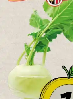 Spar Kohlrabi Angebot