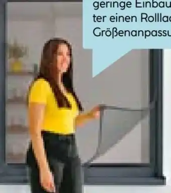 Hellweg Schellenberg Fliegengitter-Magnetrahmen Angebot