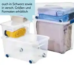 Hellweg Combi-Box Angebot