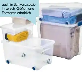 Hellweg Combi-Box Angebot