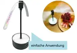 Hellweg Vandal Wespen- & Fliegenstopp Angebot