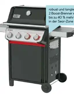 Hellweg Weber Gasgrill Spirit EP-425 Angebot