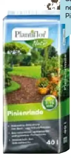 Hellweg Plantiflor Pinienrinde Angebot
