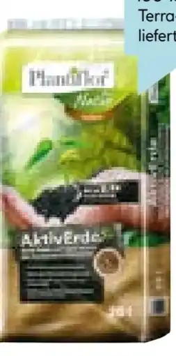 Hellweg Plantiflor Aktiverde Terra Preta Angebot