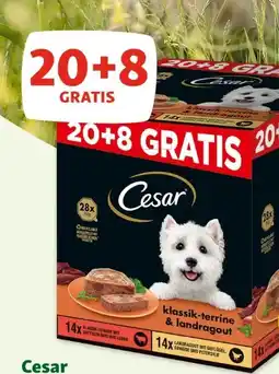 Fressnapf Cesar Hundenahrung Schale Angebot