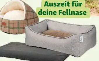 Fressnapf AniOne Matte Bruce Angebot