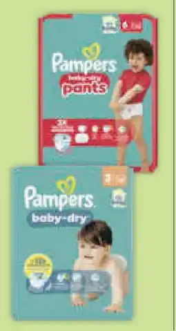 Müller Pampers Baby-Dry Windeln Angebot