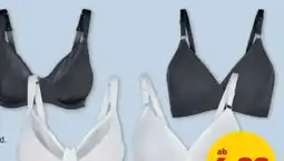 PENNY Damen BHs Angebot