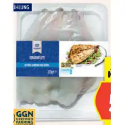Hofer Doradenfilet HOFER Angebot