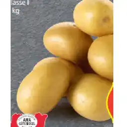 Hofer Frühkartoffeln aus Österreich HOFER Angebot