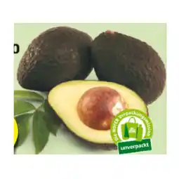 Hofer Bio-Avocado HOFER Angebot