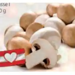 Hofer Bio-Champignons aus Österreich HOFER Angebot