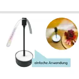 Hellweg Wespen- & Fliegenstopp 658653 HELLWEG Angebot