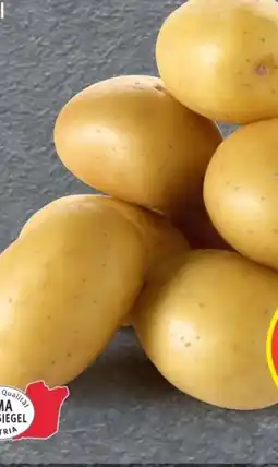 Hofer Hofer Marktplatz Frühkartoffeln Angebot