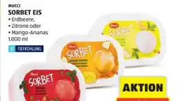Hofer Mucci Sorbeteis Angebot