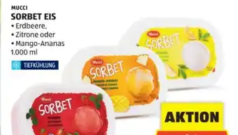 Hofer Mucci Sorbeteis Angebot