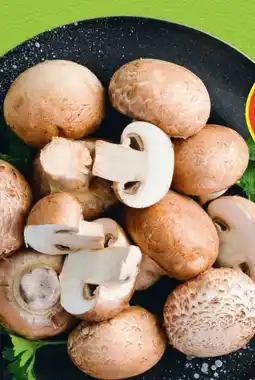 Hofer Hofer Marktplatz Bio-Champignon Angebot