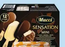 Hofer Mucci Stieleis Mini Mix Angebot