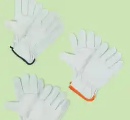 Hofer Gardenline Gartenhandschuhe Angebot