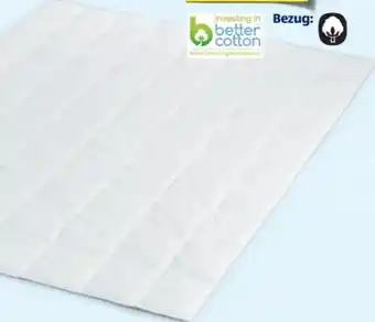 Hofer Novitesse Sommerdaunendecke Angebot
