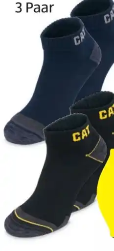 Hofer CAT Herren Arbeitssocken Angebot