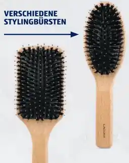 Hofer Lacura Haarbürste Professional Angebot