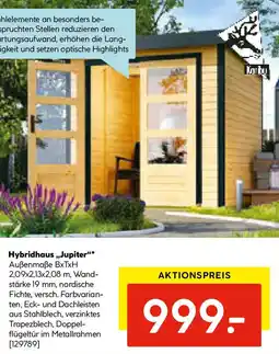 Hellweg Hybridhaus Jupiter Angebot