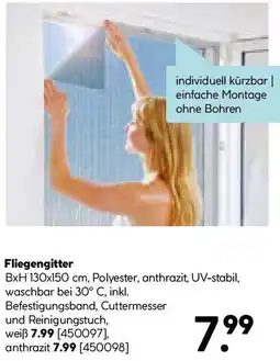 Hellweg Fliegengitter Angebot