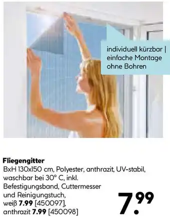 Hellweg Fliegengitter Angebot