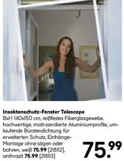 Hellweg Insektenschutz-Fenster Telescope Angebot