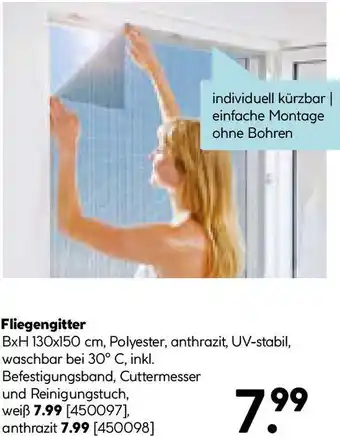 Hellweg Fliegengitter Angebot