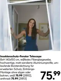 Hellweg Insektenschutz-Fenster Telescope Angebot